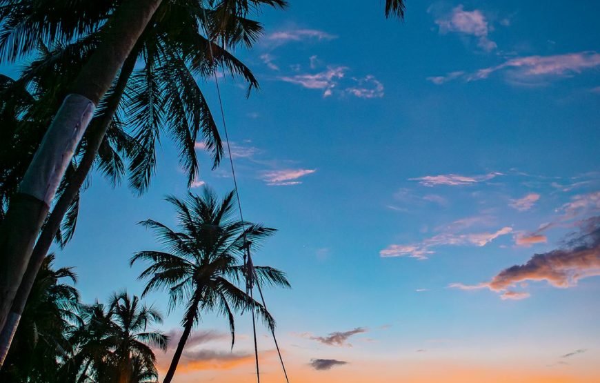 Pattaya Activities
