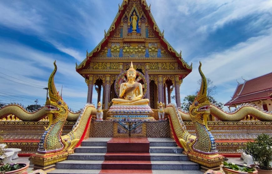 Pattaya Activities